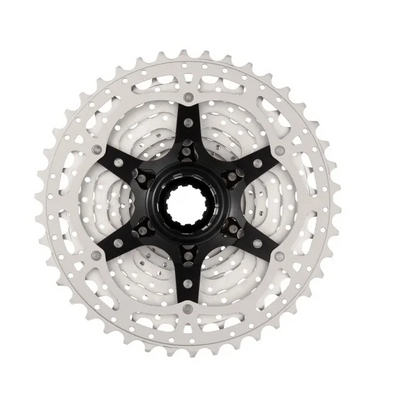 Piñón SunRace MS8 11V 11-42T plateado